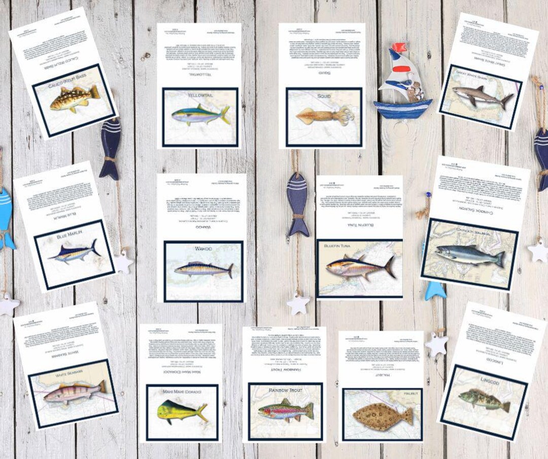 Sea Life Note Hand-illustrated Marine Life Note Card Collection (set of 10) - Etsy
