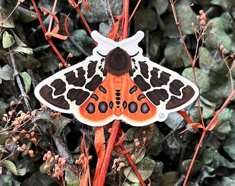 Vinyl Garden Tiger Moth Sticker, digital painting, digital art sticker, stickers, insect sticker, bug sticker, entomology, bug, moth art