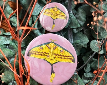 Comet moth pin, pinback button, moth pin, bug pin, insect pin, gift for entomologist, gift for bug lover, bug art, moth art