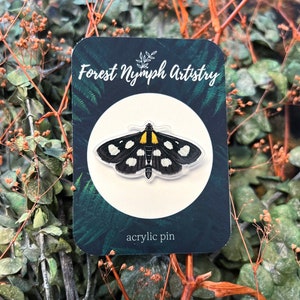 Sable Moth Acrylic Pin, pins, acrylic pin, moth pin, insect pin, insects, bug gift, insect gift, nature lover, moth, art pin, moth gift