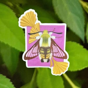 Vinyl Bee Hawk Moth Sticker, art sticker, stickers, insect sticker, bug sticker, entomology, bug gift, moth art