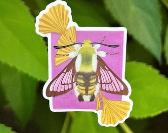 Vinyl Bee Hawk Moth Sticker, art sticker, stickers, insect sticker, bug sticker, entomology, bug gift, moth art