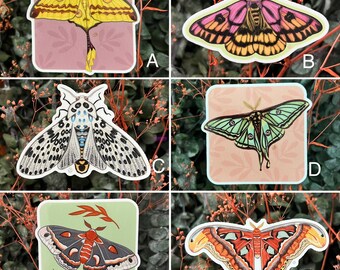 Vinyl Moth Sticker, digital painting, digital art sticker, stickers, insect sticker, bug sticker, entomology, gift for bug lover, moth art