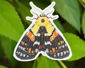 Vinyl Joseph’s Coat Moth Sticker, art sticker, stickers, insect sticker, bug sticker, entomology, bug gift, moth art