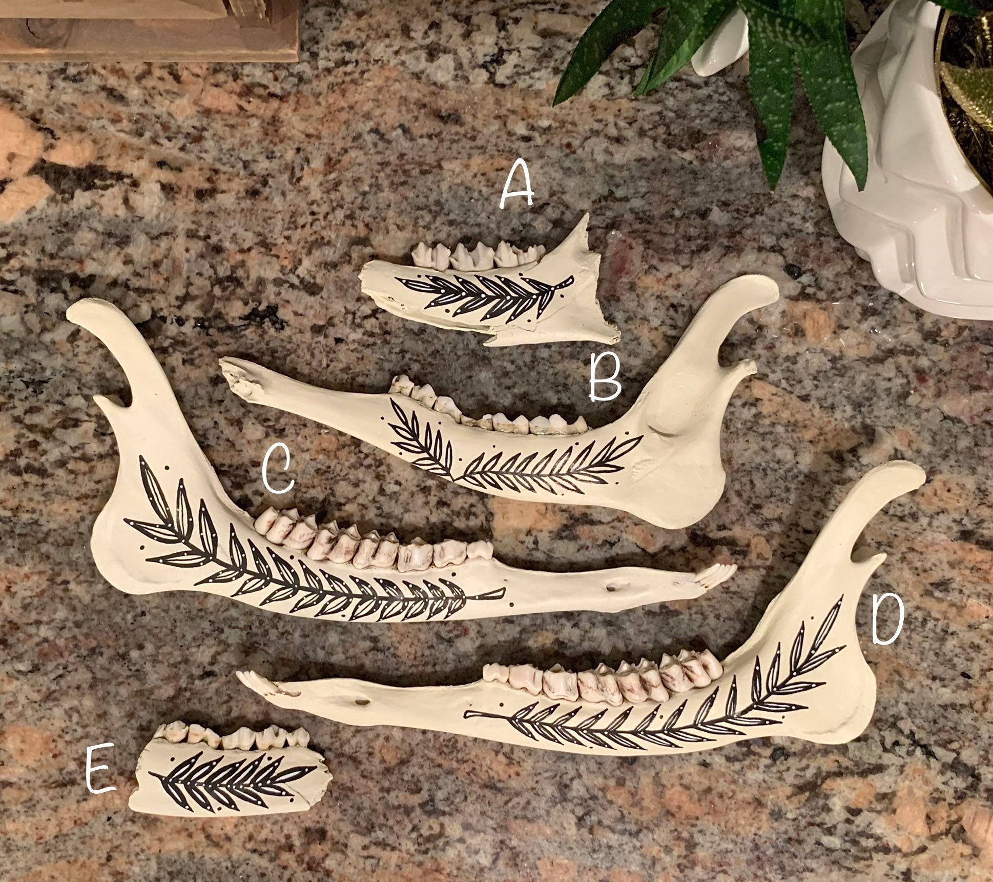 Painted deer jaw bones deer jaw jaw bones bone jaw | Etsy