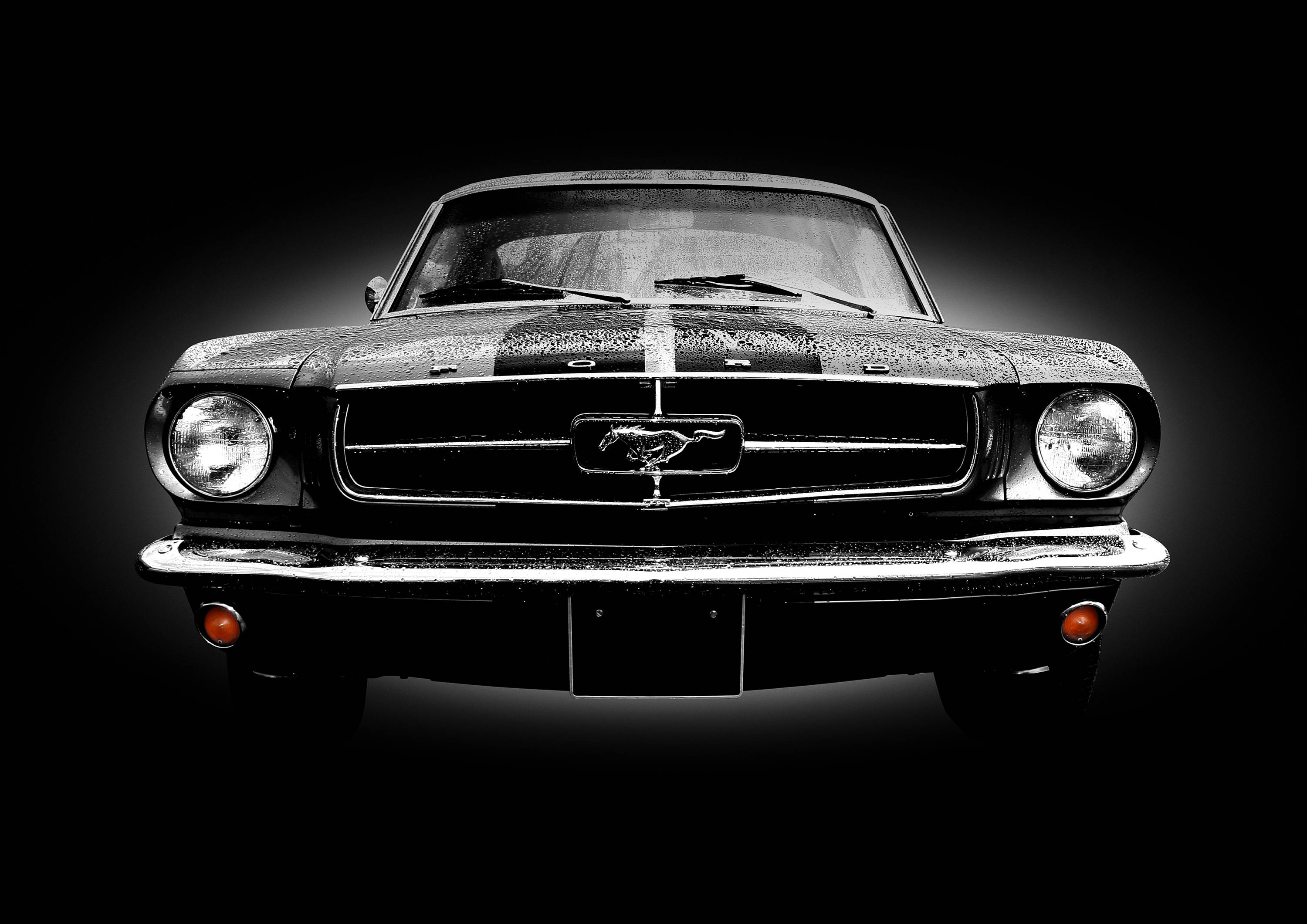 1965 mustang parts - Etsy 日本