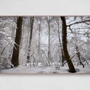 Samsung Frame TV Art Winter | Frame TV Art | Snowy Trees Art | Digital Art for Tv | Winter Sunset | Snowy Forest Background For The Frame TV