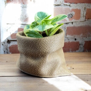May include: A small houseplant with green and white variegated leaves in a textured, beige-colored pot. The pot has a unique, folded design, resembling a burlap sack. The background features a brick wall and a wooden surface.