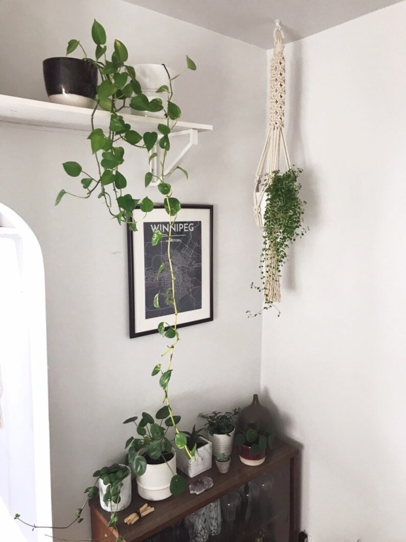 Extra Large Macrame Plant Hanger / Hanging Plant Holder / | Etsy