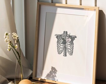 Vintage Anatomical Rib Cage Print – Medical Wall Art, Skeleton Anatomy Poster, Gothic Science Decor, Printable Anatomy Illustration