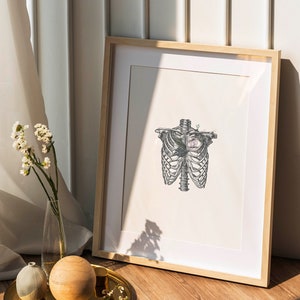 Vintage Anatomical Rib Cage Print – Medical Wall Art, Skeleton Anatomy ...