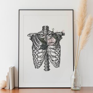 Vintage Anatomical Rib Cage Print – Medical Wall Art, Skeleton Anatomy ...