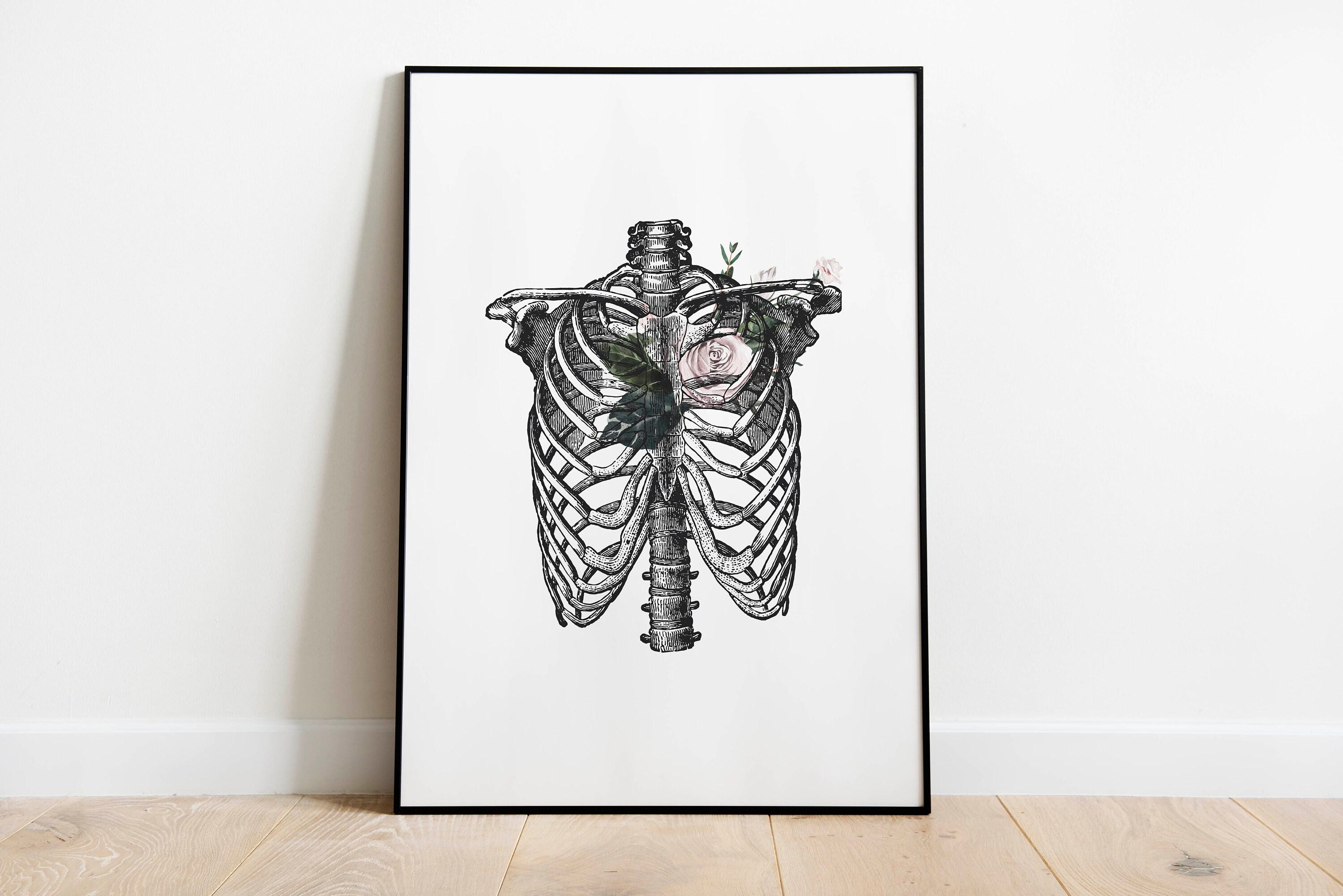 Vintage Anatomical Rib Cage Print – Medical Wall Art, Skeleton Anatomy ...