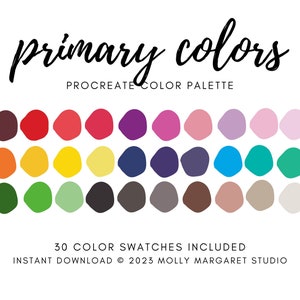 Primary Colors Procreate iPad Swatches and Palette, Natural Color Palette, Bright Color Palette, Procreate Color Palette, Rainbow Colors