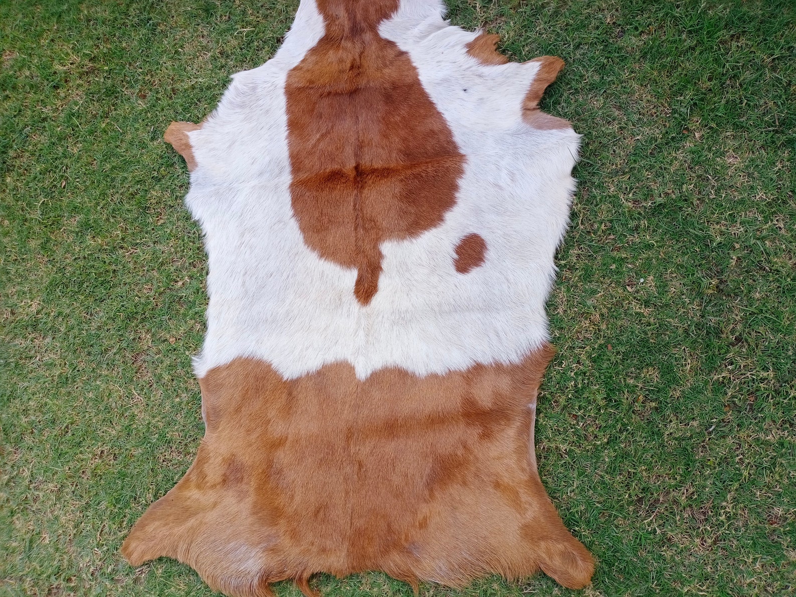 Brown and White Goat Hide Rug Hair on Goat Skin Rug New Soft Etsy