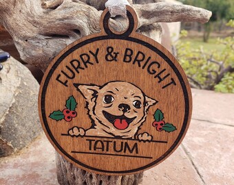 Furry & Bright, Chihuahua,  Sarcastic, Funny, Gift Engraved, Hand Painted Embellishments, Option to Personalize - Read Listing Details!