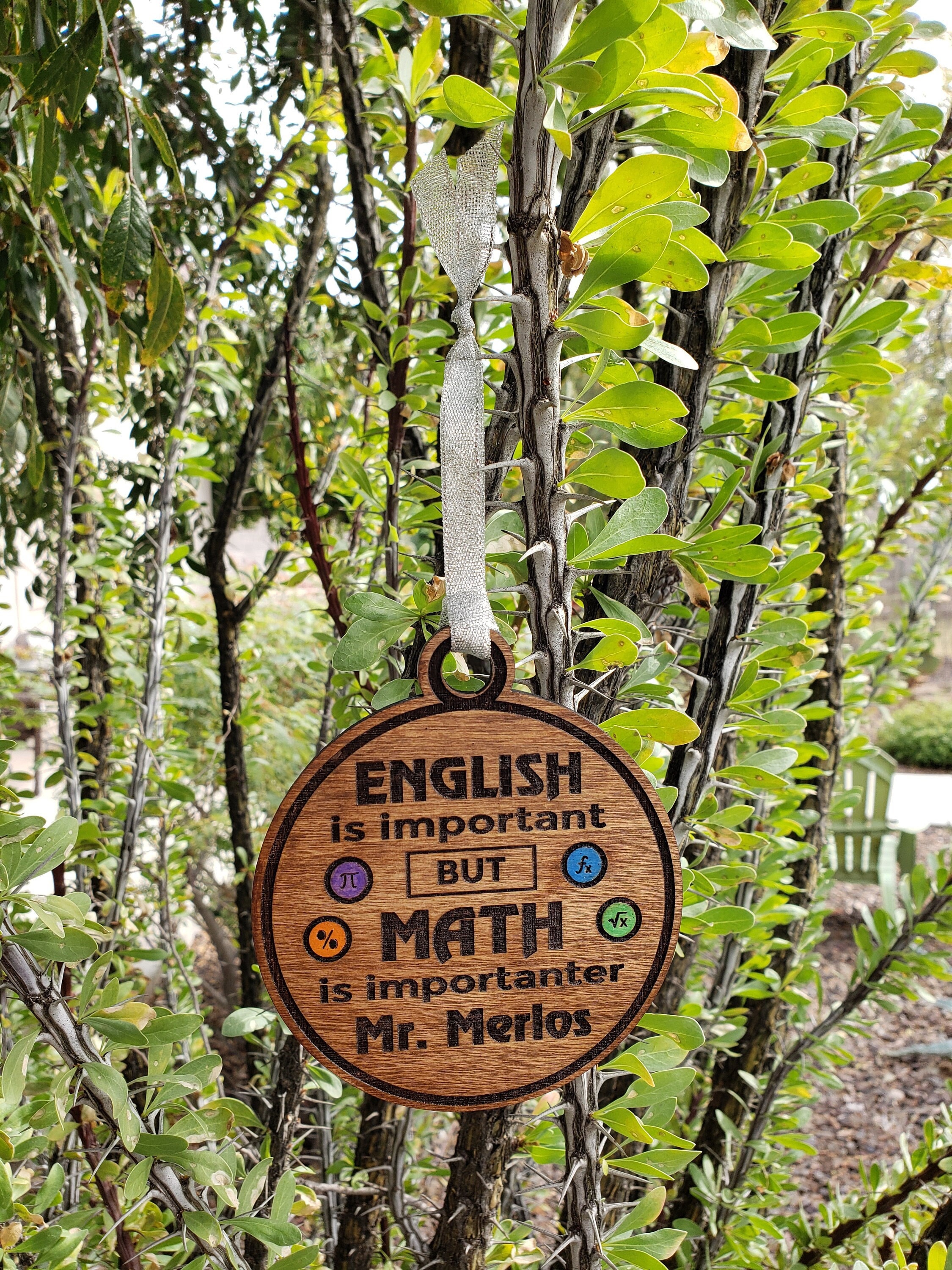Math Teacher Gift, English is Important but Math is Importanter, Option ...