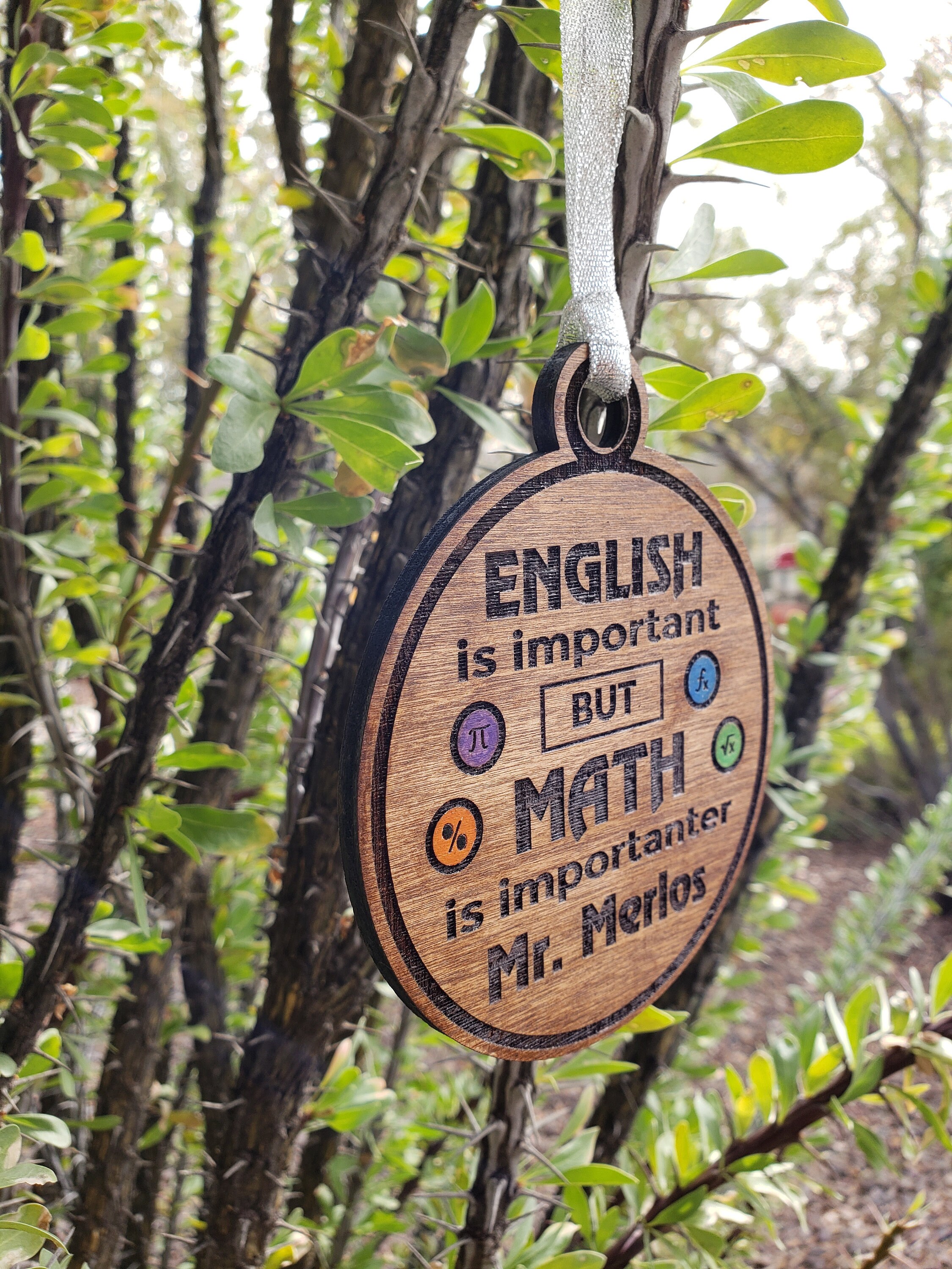 Math Teacher Gift, English is Important but Math is Importanter, Option ...