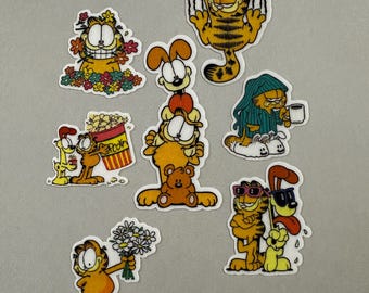 Paquete de gatos naranjas