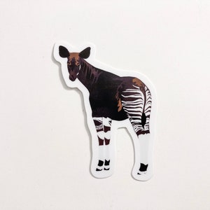 May include: A sticker of an okapi, a mammal native to the Democratic Republic of the Congo, with a brown body and white and black stripes on its hindquarters.