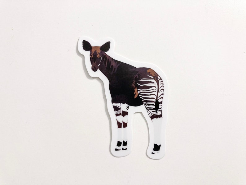 May include: A sticker of an okapi, a mammal native to the Democratic Republic of the Congo, with a brown body and white and black stripes on its hindquarters.