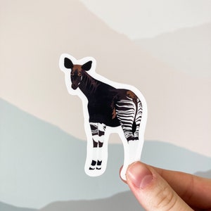 Okapi, Okapi sticker, animal sticker, 3&quot; sticker, laptop sticker, planner sticker, waterbottle sticker, digital art sticker, popular sticker