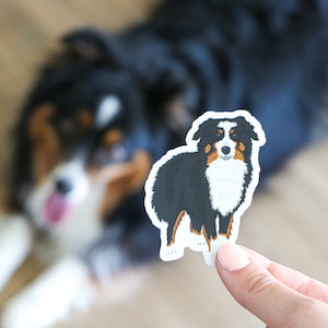 Aussie, Aussie sticker, animal sticker, black tri Aussie, Australian shepherd, vinyl sticker, dog sticker, pet sticker, mini Aussie sticker