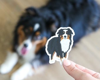 Aussie, Aussie sticker, animal sticker, black tri Aussie, Australian shepherd, vinyl sticker, dog sticker, pet sticker, mini Aussie sticker