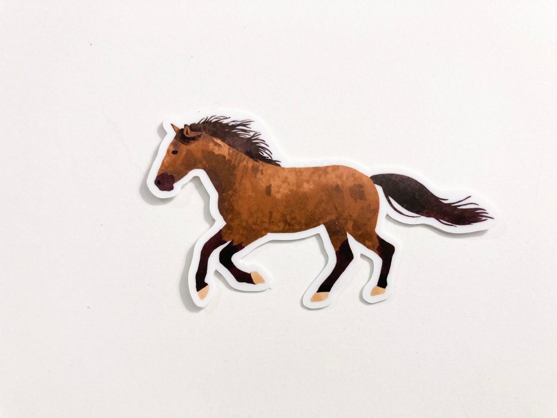 Horse Horse Sticker Animal Sticker 3 Sticker Laptop Etsy UK