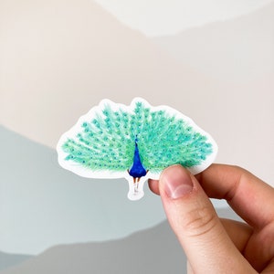 Peacock, Peacock sticker, animal sticker, 3" sticker, laptop sticker, vinyl sticker, water bottle sticker, planner sticker, popular sticker