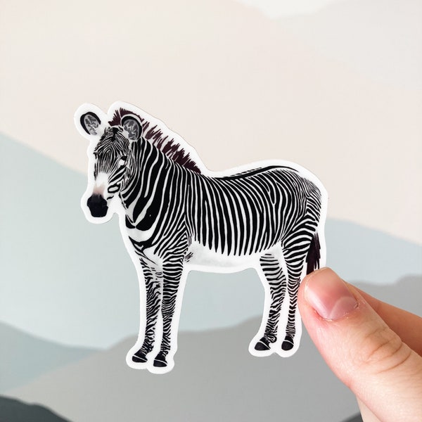 Zebra, Zebra sticker, animal sticker, 3" sticker, laptop sticker, vinyl sticker, water bottle sticker, notebook sticker, popular sticker