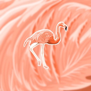 Flamingo, flamingo sticker, animal sticker, flamingo art, laptop sticker, vinyl sticker, waterbottle sticker, popular sticker, sticker