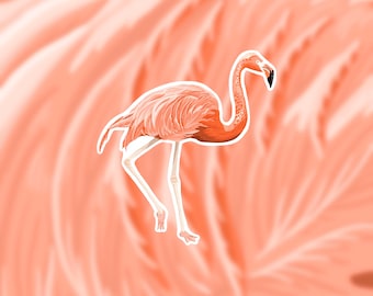 Flamingo, flamingo sticker, animal sticker, flamingo art, laptop sticker, vinyl sticker, waterbottle sticker, popular sticker, sticker
