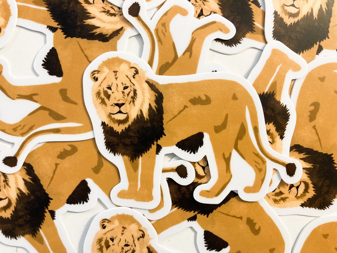 Lion Lion sticker animal sticker 3 sticker laptop Etsy Italia