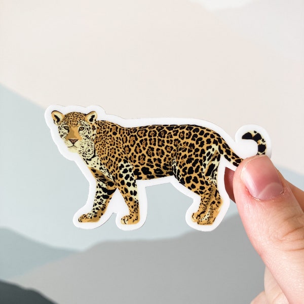 Jaguar Sticker Etsy