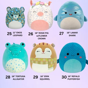 Squishmallows personnalisés pour la promotion 2024, peluche avec prénom personnalisé avec l'année, cadeau de remise des diplômes pour elle, pour lui, pour l'université, le lycée image 5