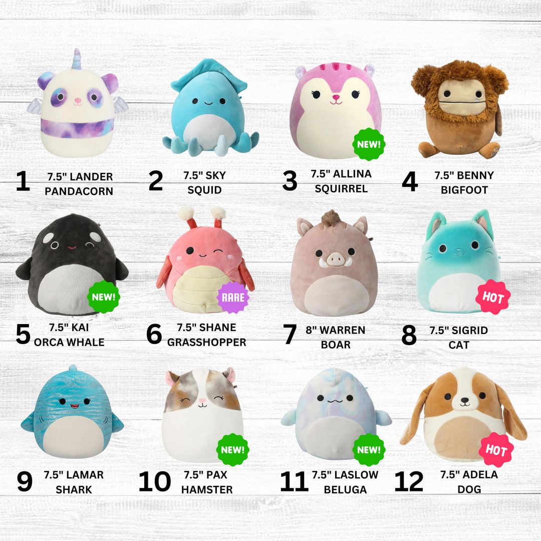 Personalized Squishmallows 7.5 & 8in Custom Name Plush Etsy