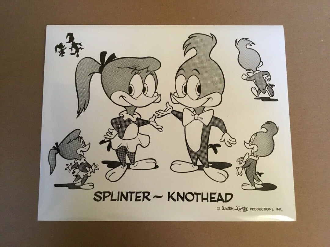 Vintage Walter Lantz Productions 8” X 10” Glossy Photo of Splinter ...