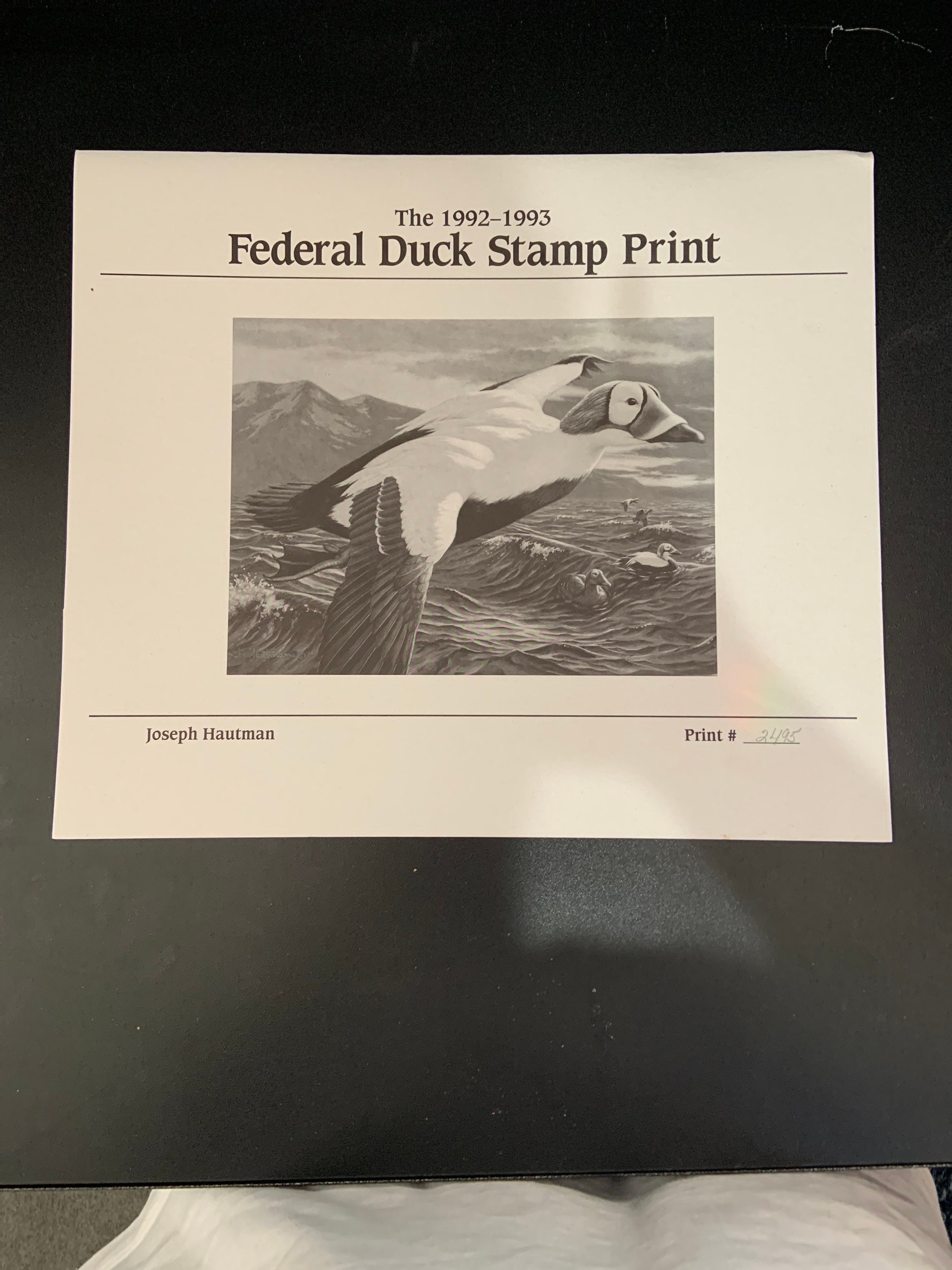 Federal Duck Stamp Prints for sale Only 4 left at 65