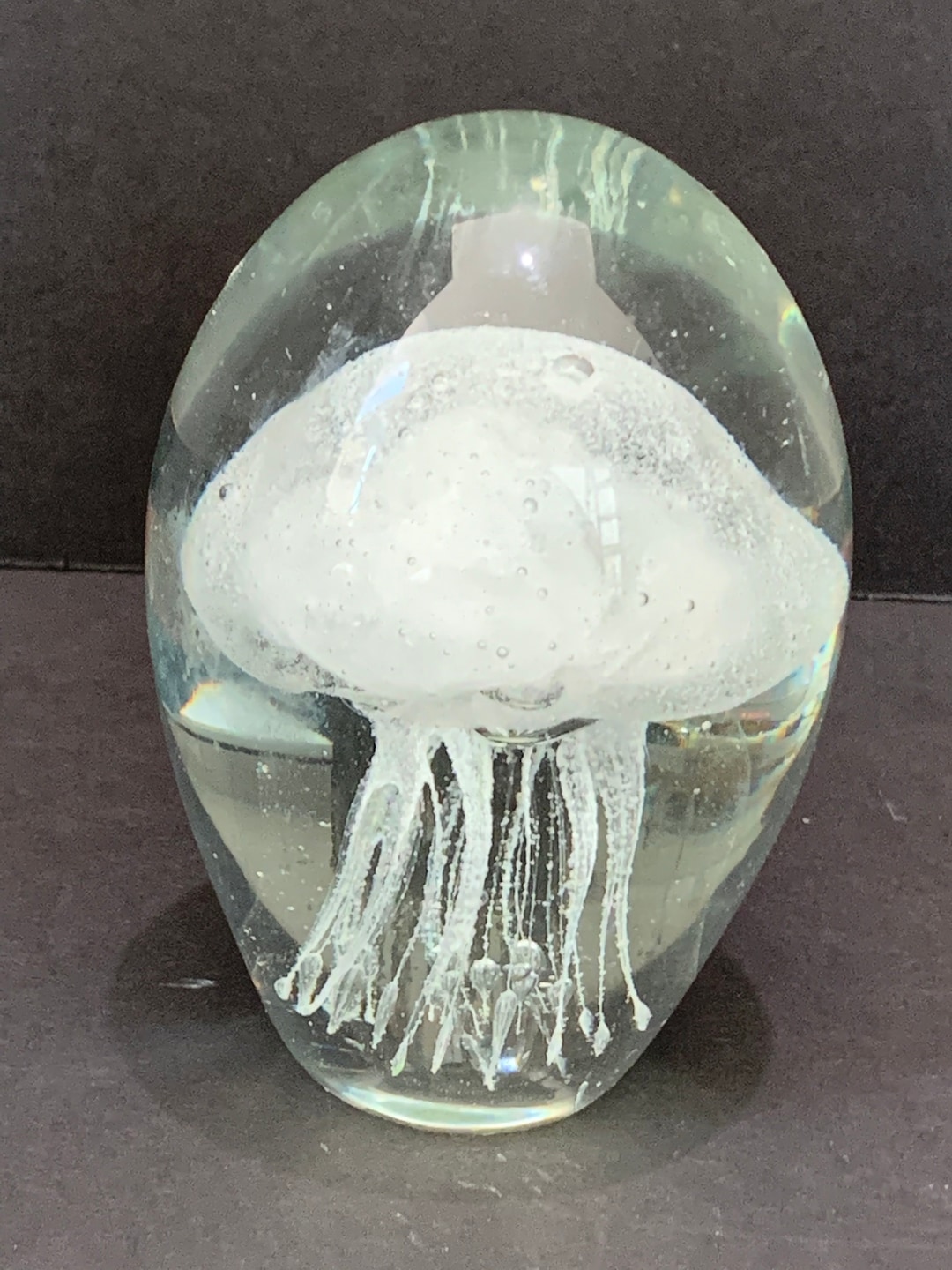 Clear Glass Domed Paperweight With White Jellyfish 4.5 - Etsy