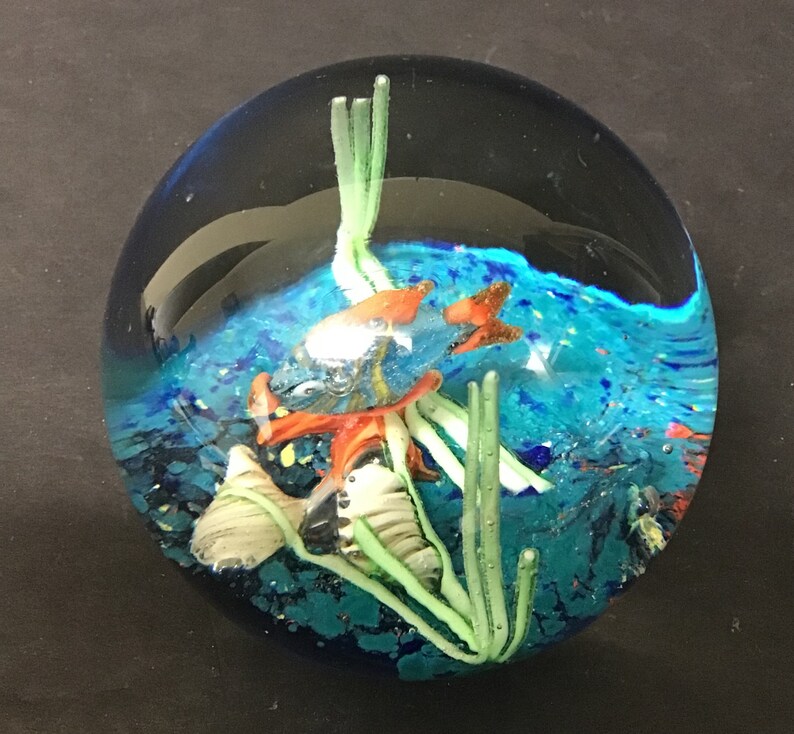Round Glass Paperweight With Fish Etsy