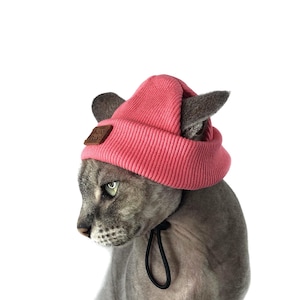 Bright Handmade Cat Beanie Hat – Cute Kitten Costume, Adorable Cat Hat, Pet Photo Prop & Gift for Cat Love, High quality Cat Accessories