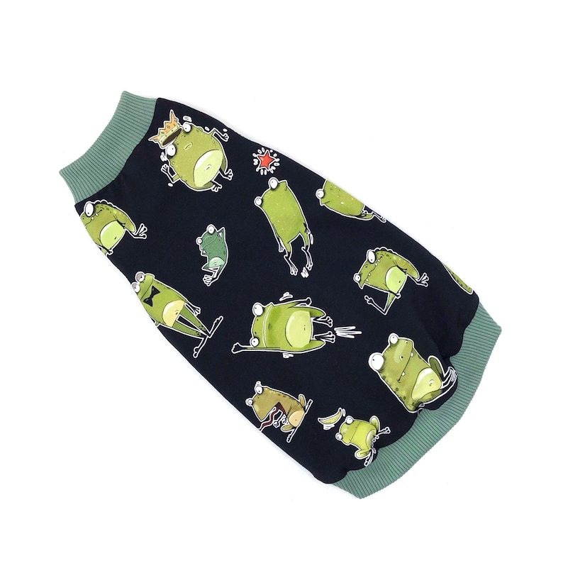 May include: A black dog sweater with a pattern of green cartoon frogs. The sweater has a green ribbed collar and cuffs. The frogs are in various poses, some wearing crowns.