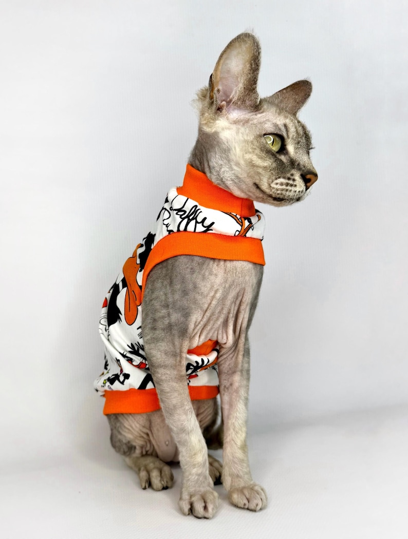 May include: A gray Sphynx cat wearing a white and orange shirt with a cartoon design. The shirt has black accents and the text "Daffy Duck" in a stylized font. The cat is sitting and looking to the right.