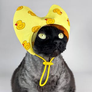 Könnte beinhalten: Eine schwarze Katze mit einem gelben Hut mit Entenmuster. Der Hut hat ein klares Visier und einen gelben Kordelzug. Die Katze hat grüne Augen und ein grau-schwarzes Fell.