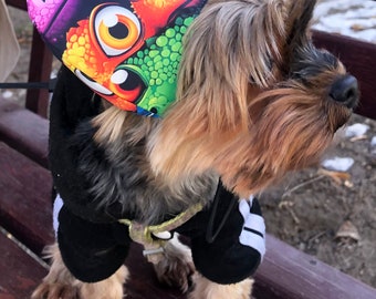 Duschhaube Für Hunde & Katzen – Wasserdichter Badehut Mit Verstellbarem Gummiband
