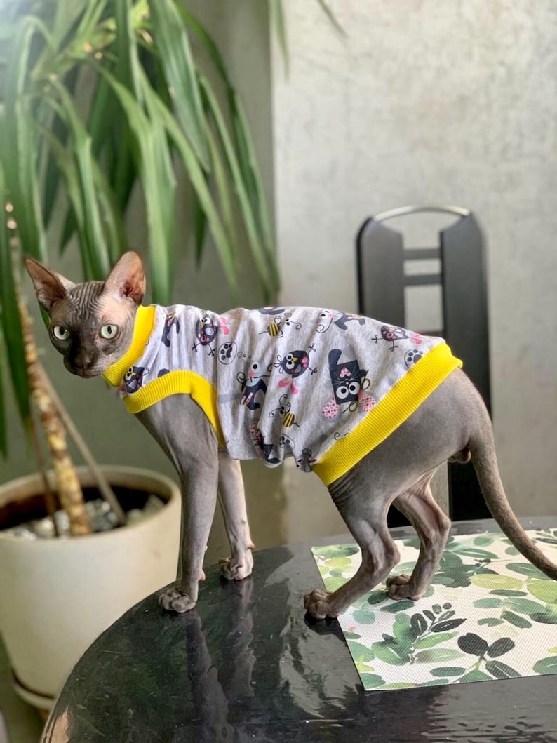 May include: A gray Sphynx cat wearing a light gray shirt with a pattern of cartoon bees and skulls. The shirt has yellow trim around the neck and sleeves. The cat is standing on a black surface.