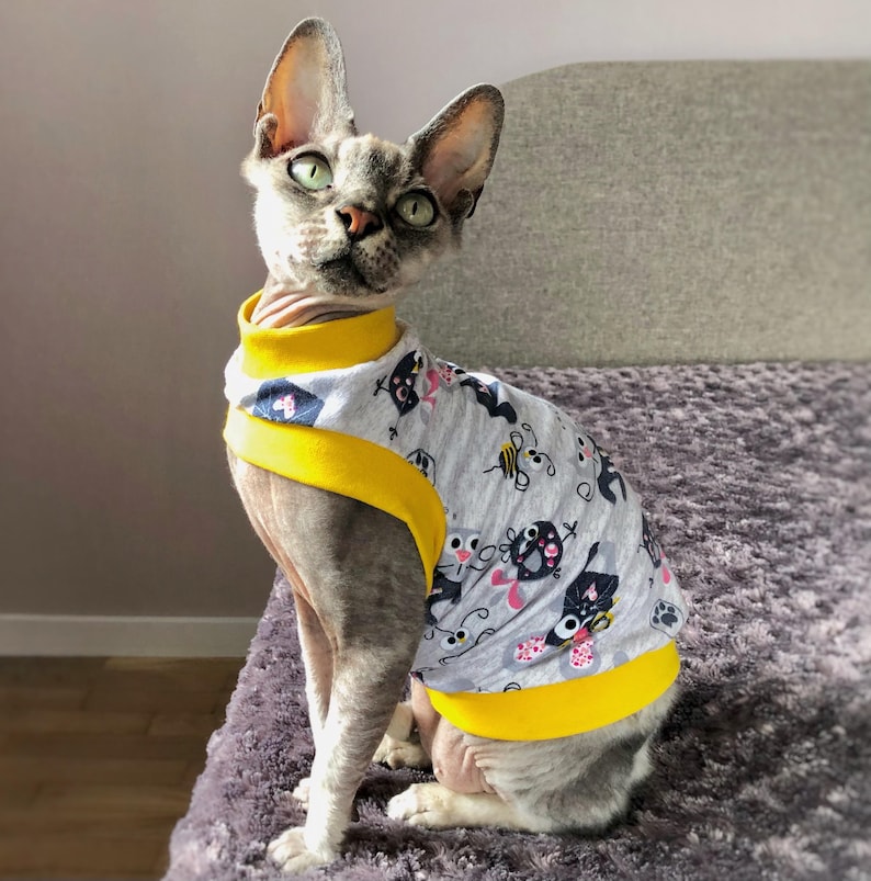 May include: A gray Sphynx cat wearing a gray shirt with a yellow collar and cuffs. The shirt features a pattern of black and pink cartoon characters. The cat is sitting on a gray surface.