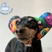 see more listings in the pet shower cap section