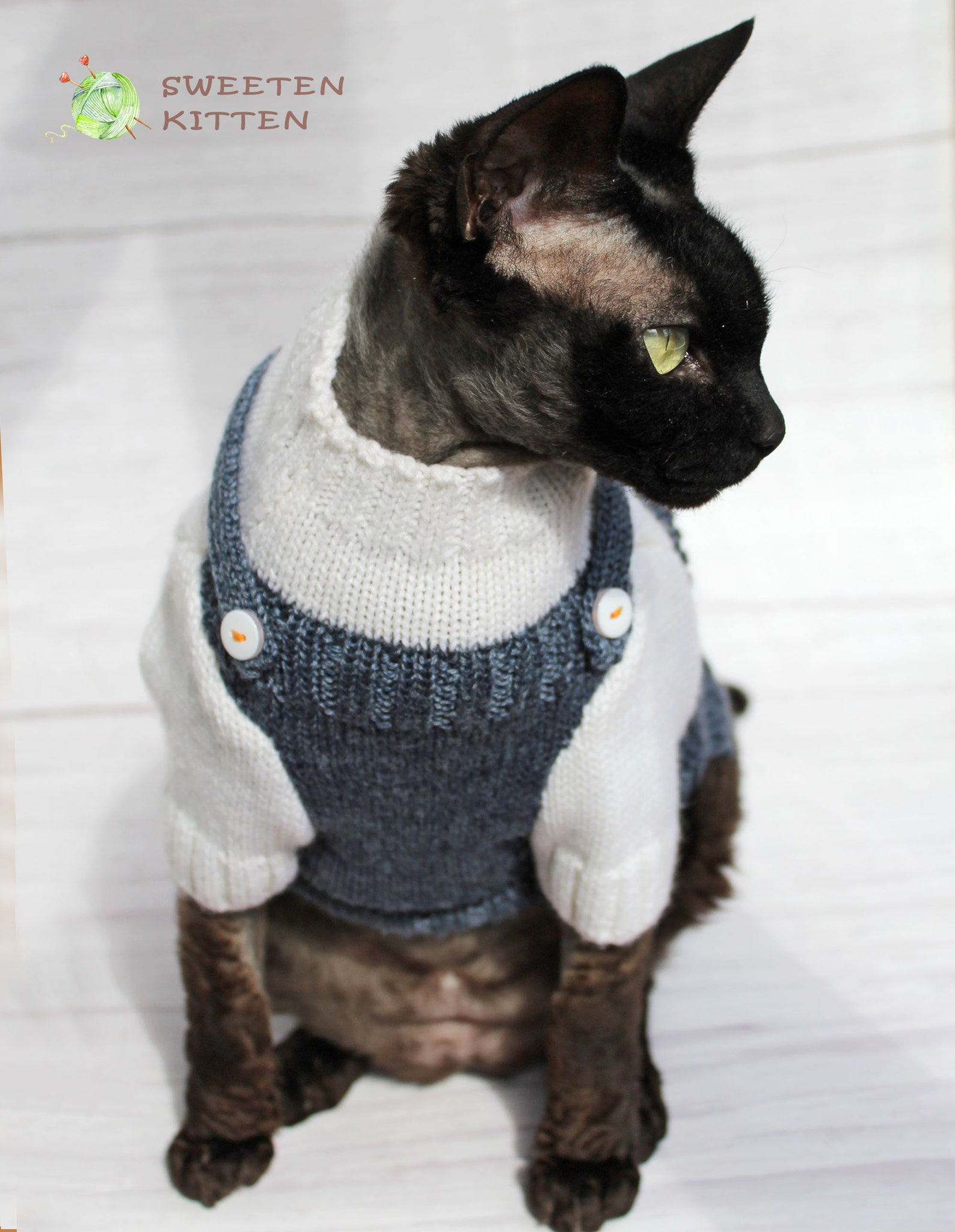 Sphynx cat jumpsuit Cat costume with suspenders hairless cat Etsy